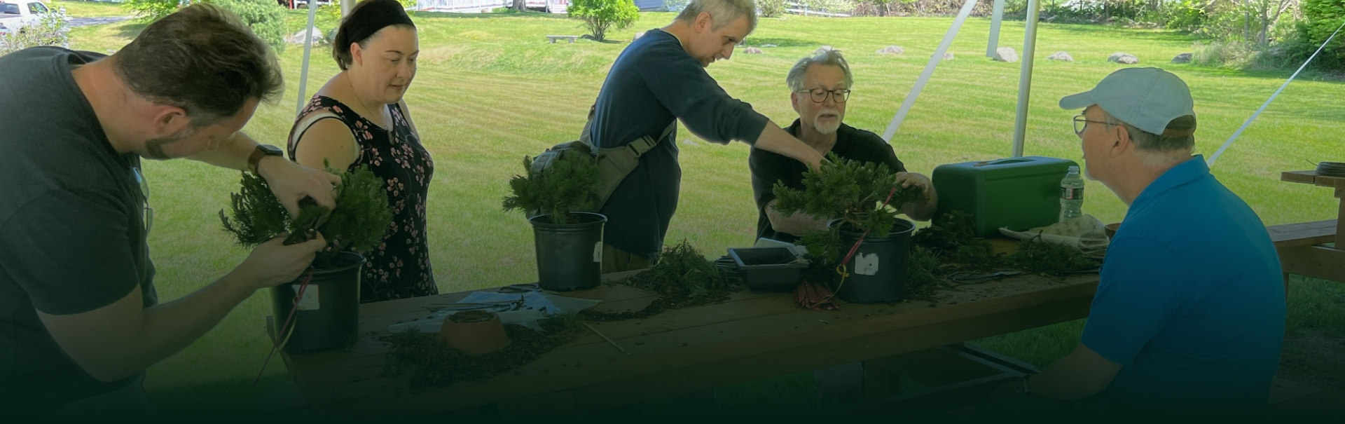 Bonsai Education & Resources