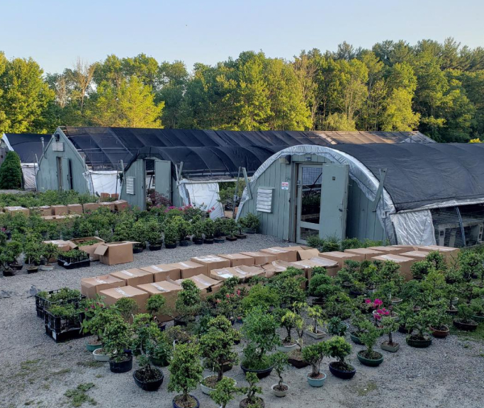 New England Bonsai Gardens