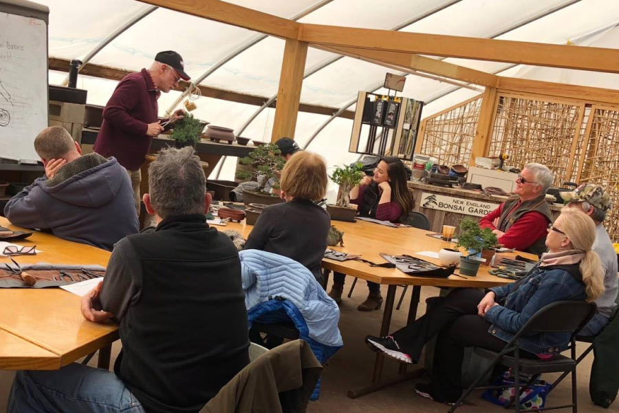 Team-Building Workshops