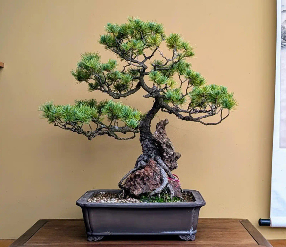 Happy Valentine's Day