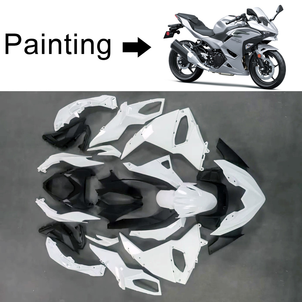 2024-2025 Kawasaki Ninja 500 Injection Fairing Kit Bodywork Plastic ABS Amotopart Fairing #102