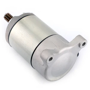 Electric Starter Motor for Polaris Ranger Crew 500 Scrambler 500 3084981