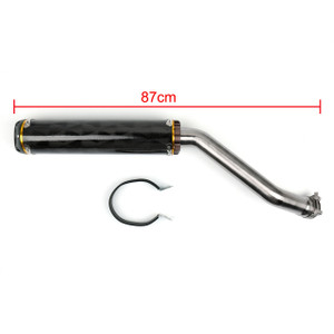 Carbon Fiber 2 Colors Exhaust Pipe Slip-On Muffler Kawasaki ZX-10R ZX10R NINJA (2008-2010) Gold