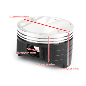 Piston Rings Pin Kit 73.25mm +0.25mm Bore for Suzuki DR250 90-91 DR250R 98-00 DR250S 90-94 DR250SE 95 DRZ250 01-07 AN250 Burgman 250 98-06