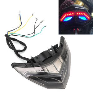 Taillight For Kawasaki Ninja 250 300 2013-2017 BLUE