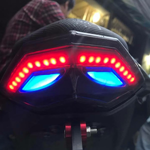 Taillight For Kawasaki Ninja 250 300 2013-2017 BLUE