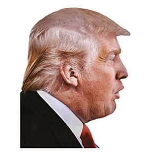 2020 Trump Presidential Election Car Window Sticker Passenger Side Person Right