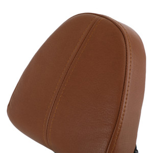 Passenger Backrest Sissy Bar fit for Indian Scout 2015-2020 Scout Sixty ABS CHR