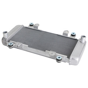 Radiator Guard Cooler Cooling For KAWASAKI NINJA 300 EX300 EX 300 2013-2017 Silver