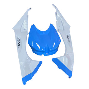 2009-2014 BMW S1000RR Injection Fairing Kit Bodywork Plastic ABS #119 Amotopart Fairing