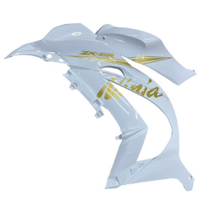 2016-2020 Kawasaki ZX10R Injection Fairing Kit Bodywork Plastic ABS #135 Amotopart Fairing