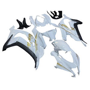 2016-2020 Kawasaki ZX10R Injection Fairing Kit Bodywork Plastic ABS #135 Amotopart Fairing