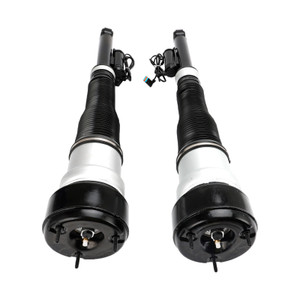 2?¨¢ Rear Shock Strut Absorbers for Mercedes-Benz S-Class W221 2213202113