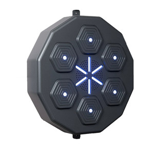Wall Mount Boxing Training Target Bluetooth Music Indoor React Exercise Machine Christmas Gift Generic
