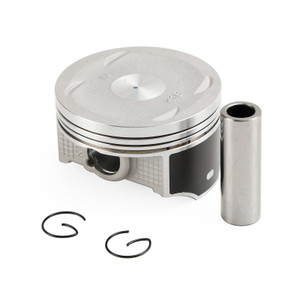 STD 77mm Cylinder Jug Piston Gasket Kit for Honda Forza 350 NSS350 2019-2023