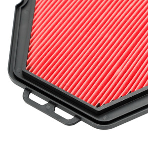 2007-2021 Tiger 1050 / Tiger Sport Air Filter Cleaner Element (Part No: T2204820)