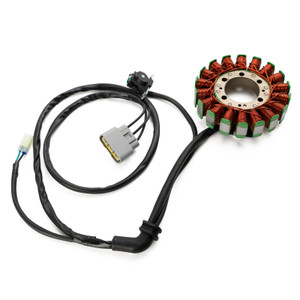 18 Poles Stator Generator For Tiger 800 XC XCA XCX XR XRX 2011-2020 T1305965