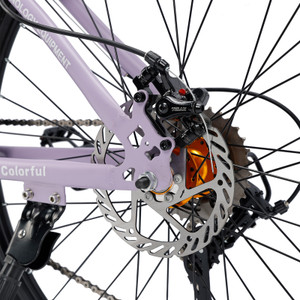 26 inch 27 speed double disc brake Suspension Fork mountain bike MTB Powder coated bicycle For adult With Cup holder Fender Purple