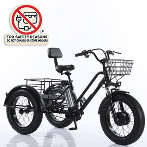 500W 48V 12A Electric Bike Snow Tricycle 3 wheel e-bike Fat Tire Tricycle