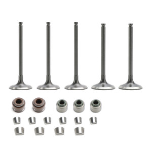 2004-2023 Yamaha YFZ450/R Intake & Exhaust Valves w/ Seals kit Generic