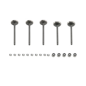 2001-2008 Yamaha Grizzly Raptor Rhino 660 660R Intake & Exhaust Valves Kit Generic