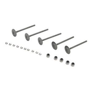 2001-2008 Yamaha Grizzly Raptor Rhino 660 660R Intake & Exhaust Valves Kit Generic