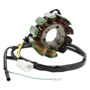 SMC Rex Explorer ATV Quad 250cc 11 Poles Magneto Generator Stator 35560-CBT-00 Generic