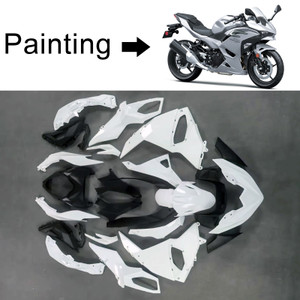 2024-2025 Kawasaki Ninja 500 Injection Fairing Kit Bodywork Plastic ABS Amotopart Fairing #102
