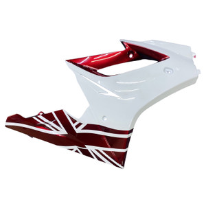 Injection Fairing Kit Bodywork Plastic ABS fit For Triumph Daytona 675 2006-2008
