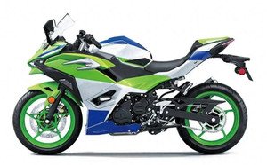 2024-2025 Kawasaki Ninja 500 Injection Fairing Kit Bodywork Plastic ABS Amotopart Fairing #102