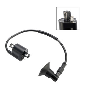 Triton ATV Baja 50 CDI BOX Igniter Generic