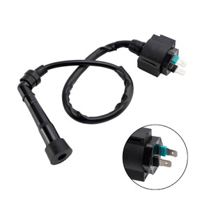 Honda CA125 Rebel SMC Barossa RAM 300 CAPTAIN 300 CDI BOX Igniter Generic