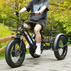 500W 48V 12A Electric Bike Snow Tricycle 3 wheel e-bike Fat Tire Tricycle