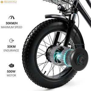 500W 48V 12A Electric tricycle for Adult Snow Tricycle 3 wheel e-bike Fat Tire Tricycle with cargo New upgrade