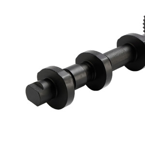 BMW X5/X6 2011-2017 (xDrive35i/sDrive35i) Eccentric Shaft Valvetronic Actuator kit