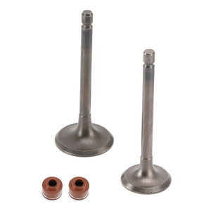 Yamaha TTR125 TTR125E TTR125L TTR125LE Head Intake Exhaust Valves Seals Generic