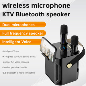 Wireless Bluetooth Speaker Black Dual Microphone Portable Karaoke Speaker Home Theater