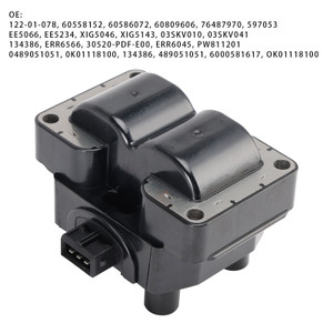 1999-2002 2004 Land Rover Discovery Ignition Coil 0221503407 Generic