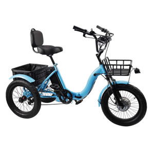 18" 48V 13AH 350W (peak 525W) Electric Trike Variable speed with IPX7 Display