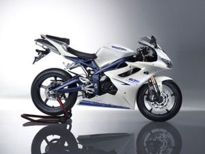Fairings Triumph Daytona 675 White Blue Daytona Racing (2009-2012)