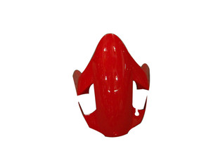 Fairings Ducati 999 Red Racing (2003-2004)