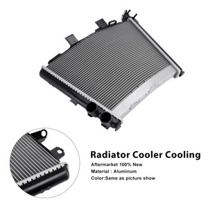 2021-2025 BMW M1000R S1000R Radiator Cooler Cooling Silver Generic