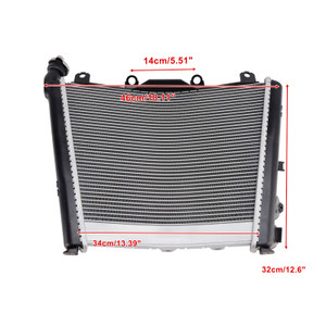 2021-2025 BMW M1000R S1000R Radiator Cooler Cooling Silver Generic