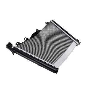 2021-2025 BMW M1000R S1000R Radiator Cooler Cooling Silver Generic