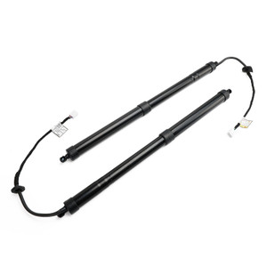 2019-2022 Toyota RAV4 2* Rear Tailgate Lift Support 6892042020 Black Generic