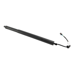 2020-2022 Hyundai Palisade 1* Rear Tailgate Lift Support 81841-S8100 Black Generic