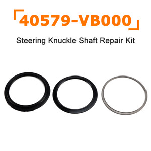 1997-2010 Nissan Patrol (GR) Y61 Steering Knuckle Shaft Repair Kit 40579-VB000 Generic