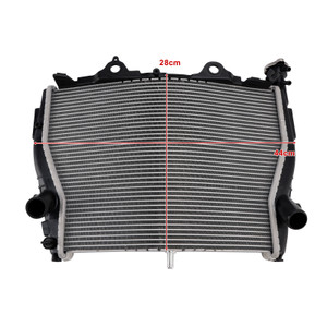 2015-2018 BMW S1000R Radiator Cooler Cooling Silver Generic