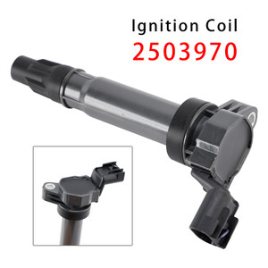 2010-2015 Chevrolet Spark Ignition Coil 2503970 Generic