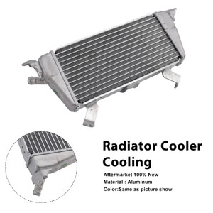 2021-2025 BMW M1000R/RR/XR Radiator Cooler Silver Generic